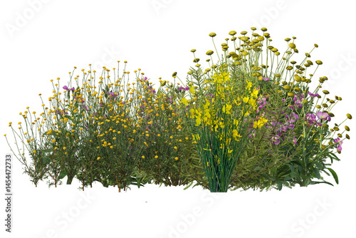 Diverse collection of isolated flowers grasses bushes and small plants in shrub form