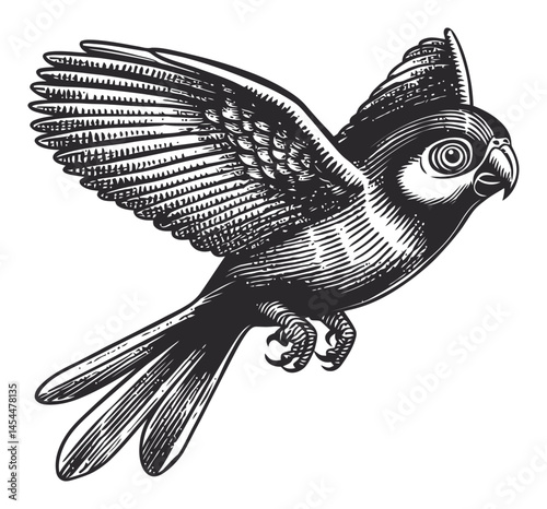 Detailed Vintage Vector Illustration of a Flying Bird with Spreading Wings