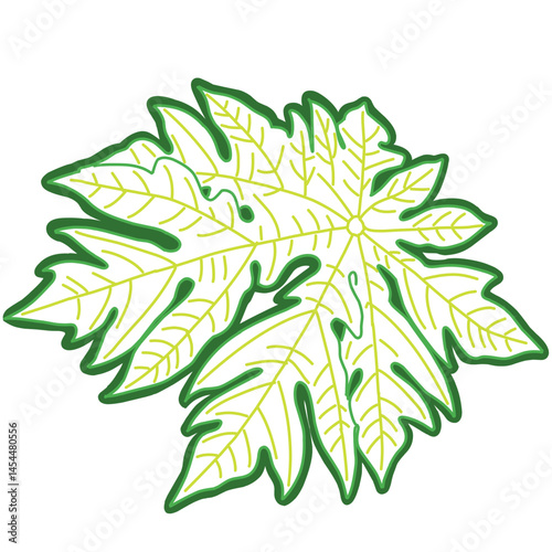 A bold digital illustration of a papaya leaf with bright green and yellow outlines on a white background