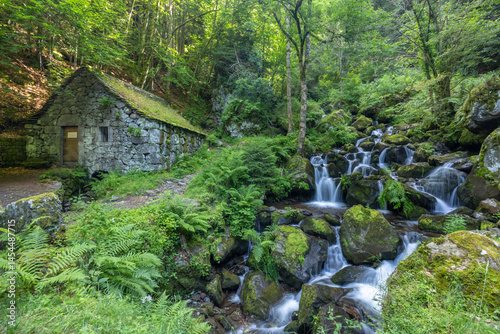 Water wheel mill (Moulin de Chambeuil) with waterfalls, Laveissiere, Cantal, Auvergne-Rhone-Alpes, France photo