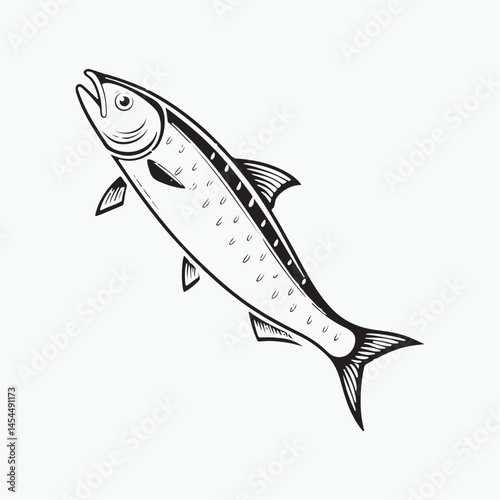 anchovy vector icon with a white background