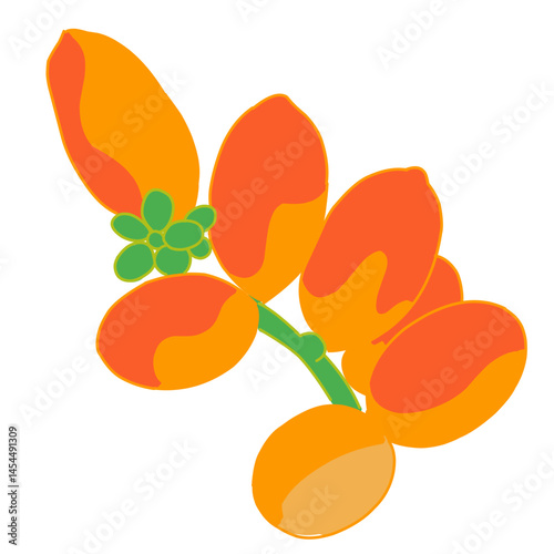 A vibrant digital illustration of Gnetum gnemon fruit (melinjo) with bright orange-red pods and green leaves on a white background