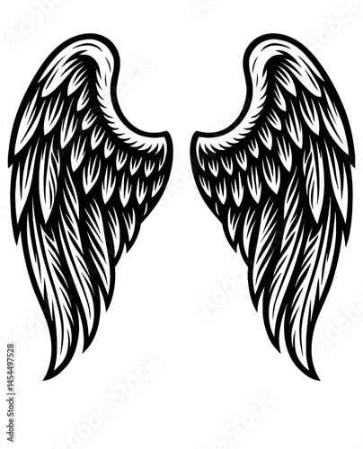 The wings of a angel are drawn in black and white. The wings are spread wide apart, and the feathers are detailed and intricate. Scene is serene and peaceful, as if the bird is taking flight