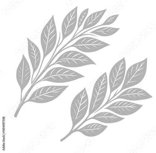 Two leaves are shown in a close up. The leaves are grey and appear to be very thin