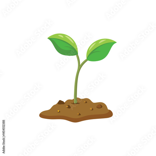 young plant growing from the ground
