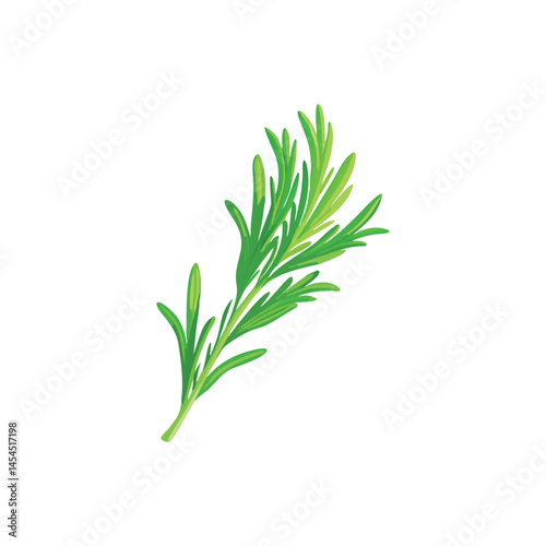 bunch of fresh rosemary