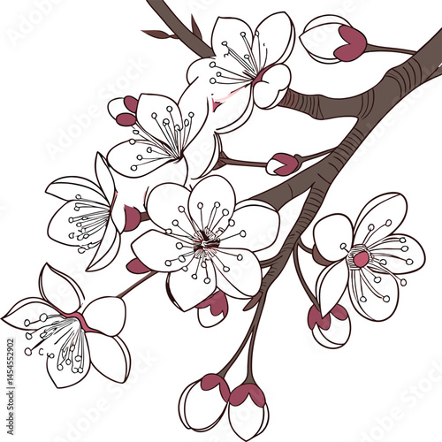 cherry blossom branch