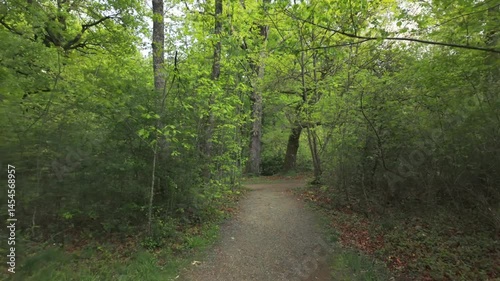 Smooth tracking shot along a path surrounded by lush green vegetation and trees. Filmed with a gimbal and tilt-shift effect, creating a miniature-like blur. Natural, serene, and immersive atmosphere.