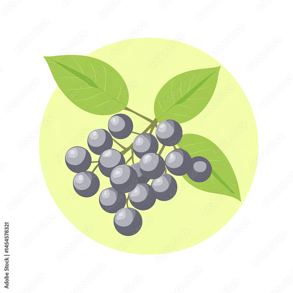 custom made wallpaper toronto digitalIllustration of a cluster of round purple berries with green leaves on a branch inside a soft yellow circle element against a transparent background
