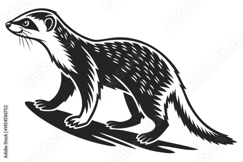 Black footed ferret illustration vector image of endangered species for conservation and wildlife design isolated on transparent background