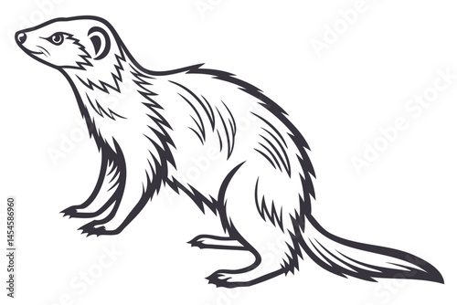 Illustration of a cute ferret standing, animal drawing, black and white art, mammal wildlife vector image isolated on transparent background