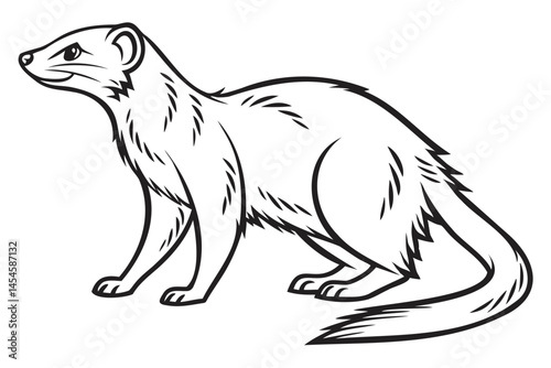 Drawing of a weasel animal vector art illustration for wildlife and nature themed designs and coloring pages isolated on transparent background