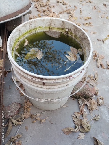 Tableau sur toile rotten water in a bucket - agua podrida en balde