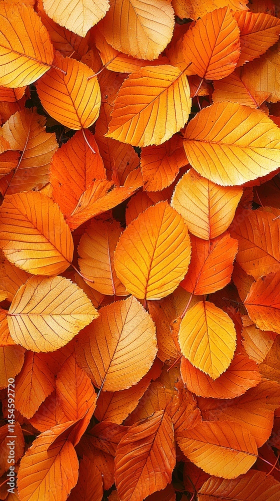 Fototapeta premium Autumn leaves form warm, textured carpet surface view