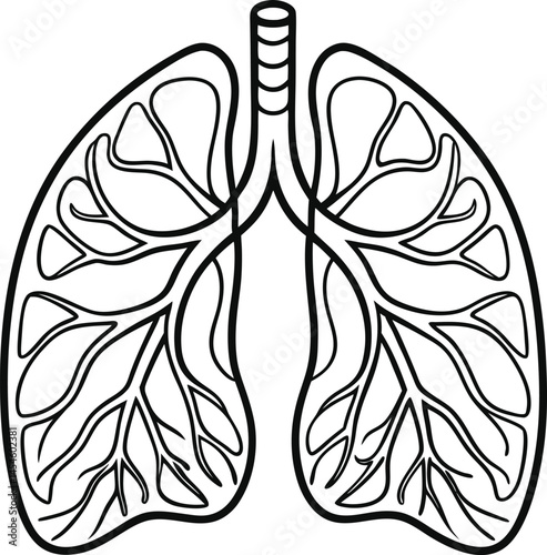 human lungs outline vector illustration on white background