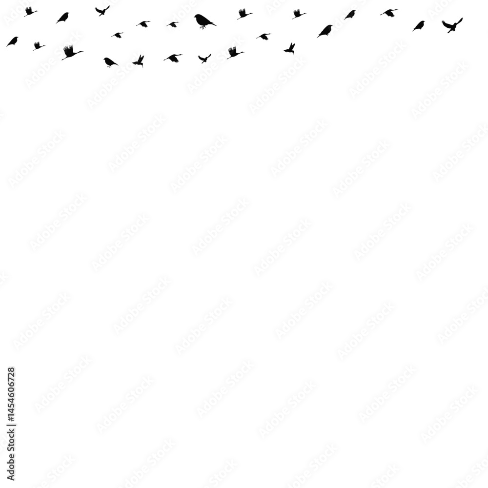 Fototapeta premium Bird Fly Vector Shape