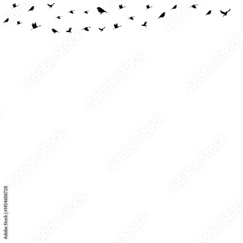 Bird Fly Vector Shape