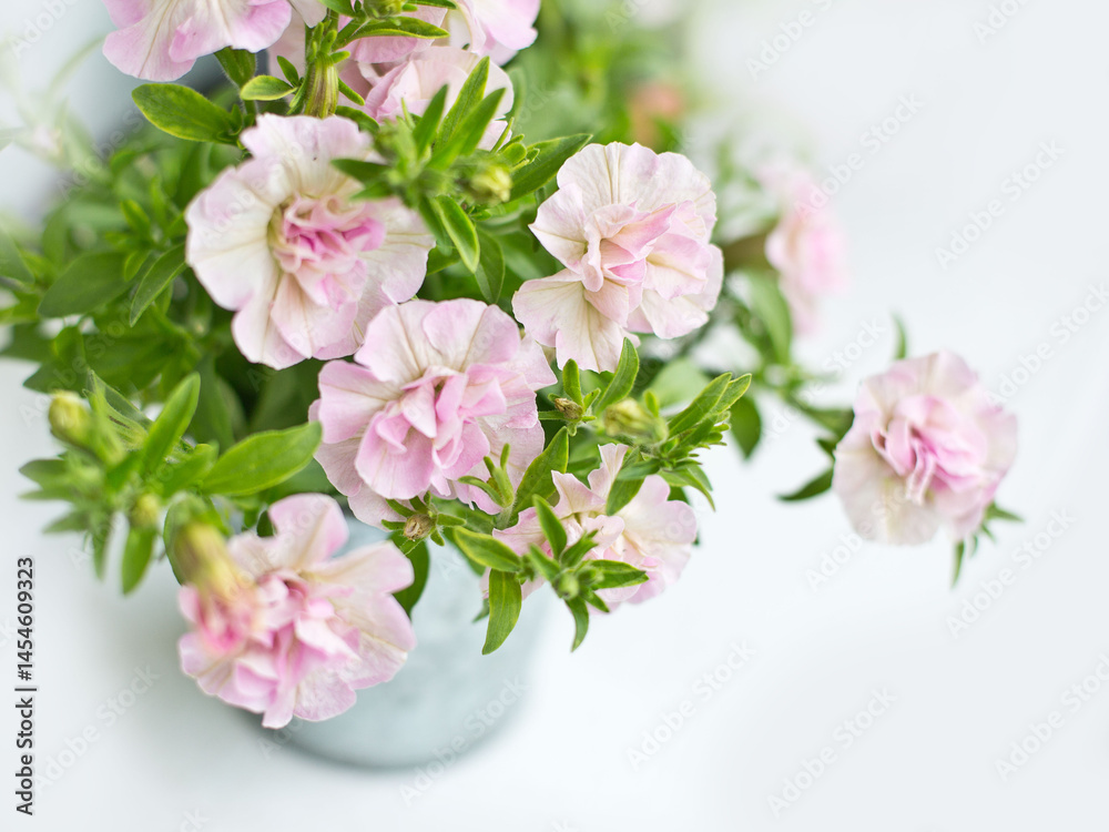 bouquet of pink roses