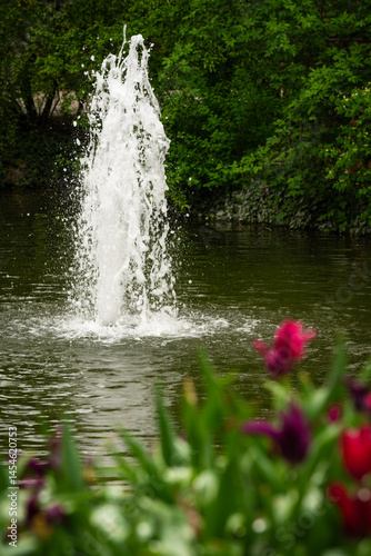 Fountain in a pond, tulips in the foreground.