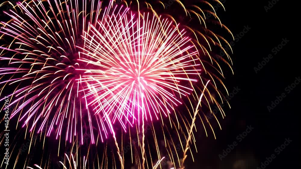 Vibrant Pink and Gold Fireworks Display at Night