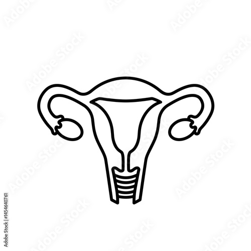Diagram of female uterus anatomy in minimalist line art  