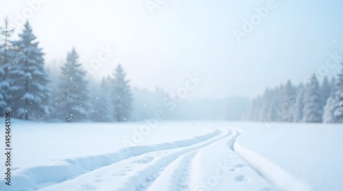 Serene winter landscape with ski tracks leading into a misty forest. Ideal for nature backgrounds and seasonal themes.