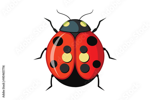 Red ladybug isolated on a white background