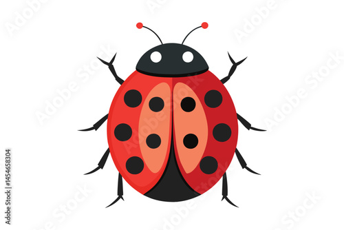 Red ladybug vector illustration on white background