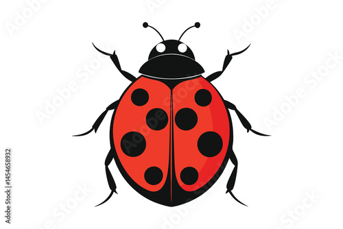 Red ladybug vector illustration on white background