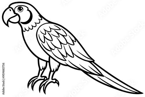 Elegant Line Art of a Macaw – Detailed Yet Minimalist Vector Illustration


