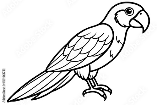 Elegant Line Art of a Macaw – Detailed Yet Minimalist Vector Illustration

