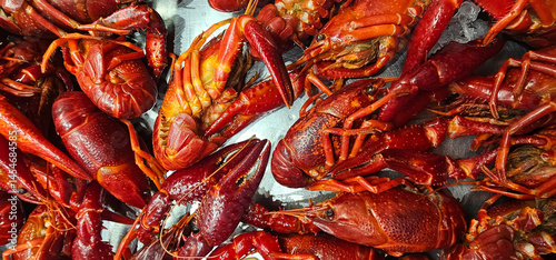 Photos Cooked red crayfish closely arranged on a metal surface with visible claws, ante