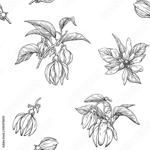 Ylang Ylang flowers and twigs, botanical seamless pattern. Hand drawn graphics elements. Black and white vector illustration. Background for design cosmetics, perfumery, package, branding