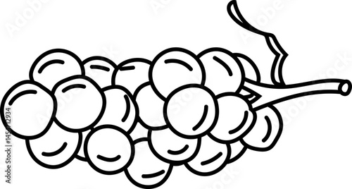 Hand-Drawn Grapes Bunch in Line Art Style for Wine Label Design