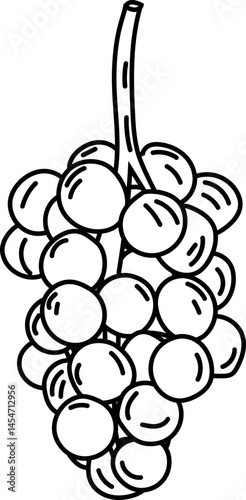 Hanging Grapes Doodle for Winemaking and Vineyard Graphics