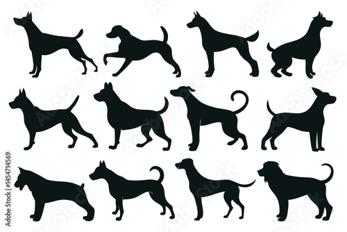 Vector, Isolated Black Silhouette of a Dog – Pet Animal Icon Collection