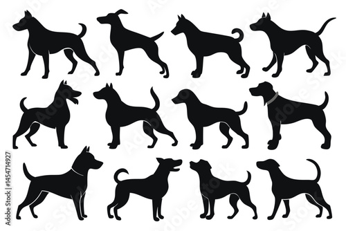 Vector, Isolated Black Silhouette of a Dog – Pet Animal Icon Collection