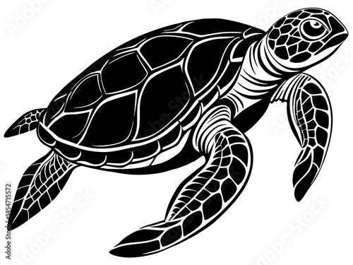 sea turtle vector illustration