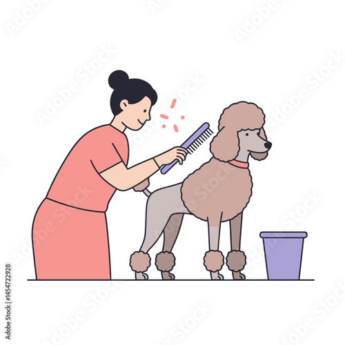 Poodle in a grooming salon for pet care professionals, dog beauty treatment concept