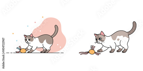 Ragdoll cat playing with a toy for feline entertainment, interactive pet play concept