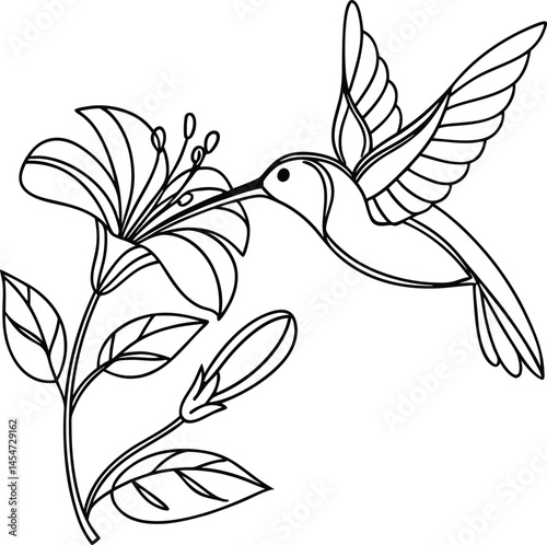 Minimalist Outline Drawing Of A Hummingbird Feeding Nectar From A Flower