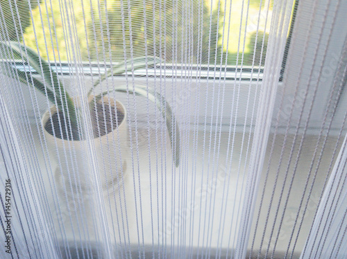 A close-up view of a decorative plant beside an illuminated window, draped with sheer curtains filtering soft sunlight, enhancing a serene and peaceful indoor atmosphere.