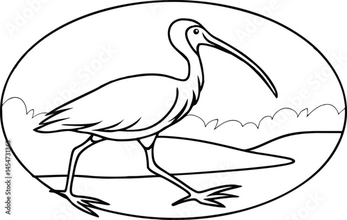 Line Art Illustration Of White Ibis Bird Walking Near Water In Oval Frame