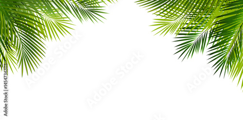 Eco Frame With Green Palm Tree Leaves