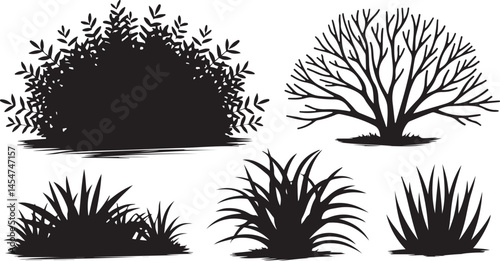 A vector illustration of a white background with a set of bush and bare bush decorative garden plants silhouettes featuring multiple bushes with varying shapes and sizes, some with leaves