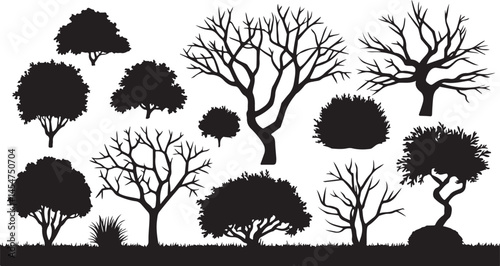 A vector illustration of a white background with silhouettes of a bush and a bare bush, along with decorative garden plants in the background