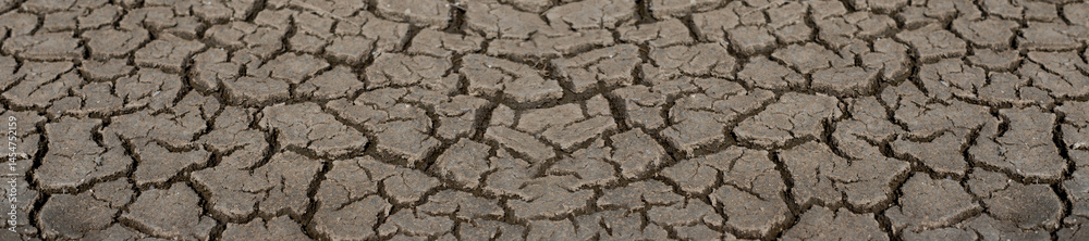 Cracked Earth surface depicting drought and arid natural conditions