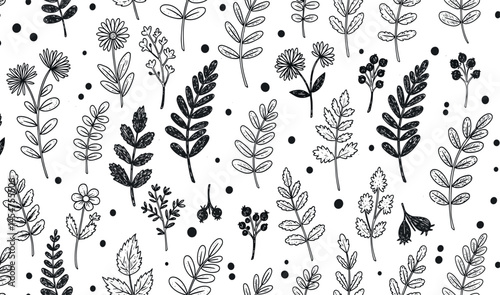 Winter branch pattern. Vector Christmas tree. Crayon pine plant seamless. White black hand drawn mistletoe, fir pine, holly branch, Christmas tree pattern. Line Xmas background.