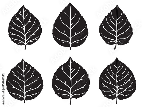 Minimalist cassia leaf drawing in vector format