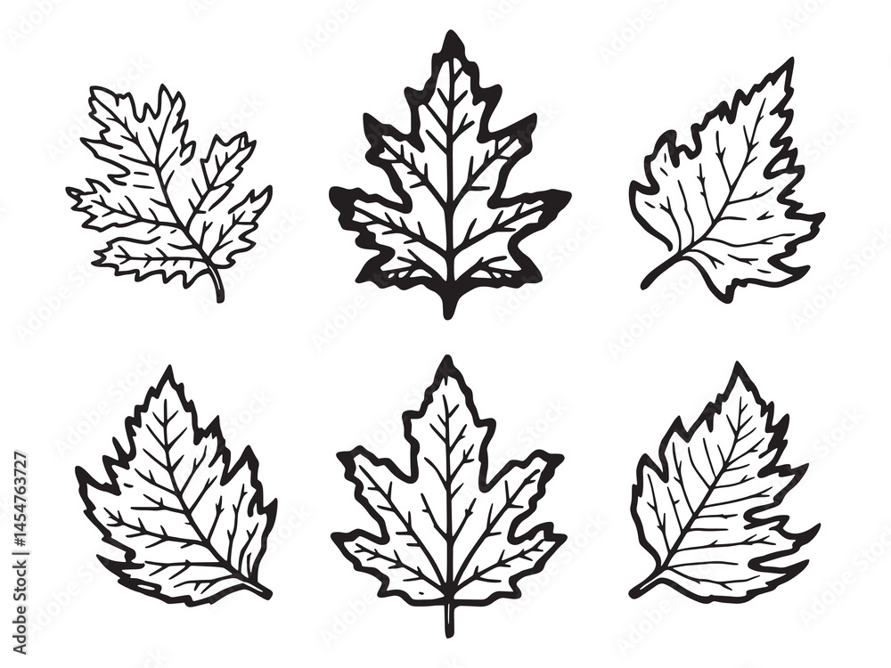 Obraz premium Minimalist Cedar Leaf Sketch Style Nature Artwork